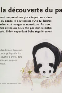 Le grand panda