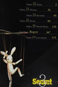 Secret, Vol. 3
