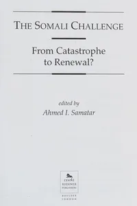 The Somali Challenge