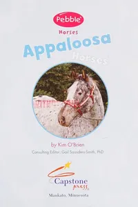 Appaloosa horse