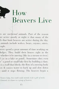 Beavers