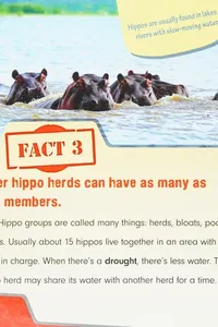 20 fun facts about hippos