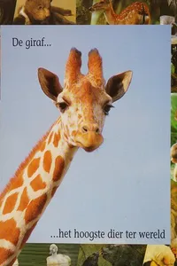 Cover of De giraf