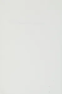 Le point sur la langue