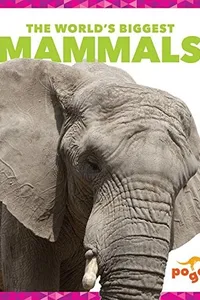 The world's biggest mammals