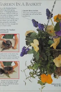 My First Garden Book