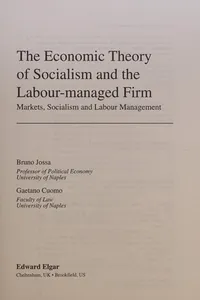 The economic theory of socialism and the labour-managed firm