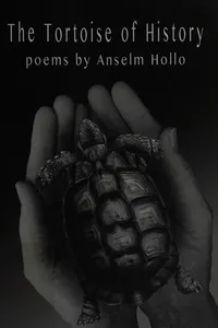 The tortoise of history