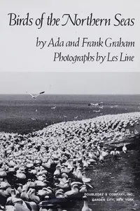 Birds of the northern seas