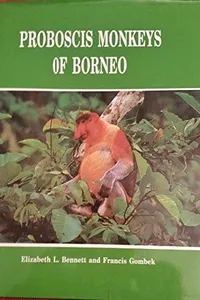 Proboscis monkeys of Borneo