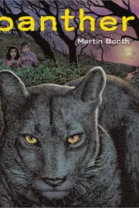Capa de Panther