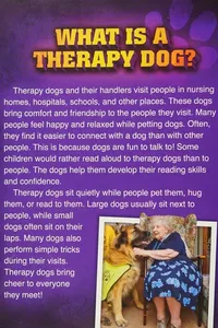 Therapy dogs