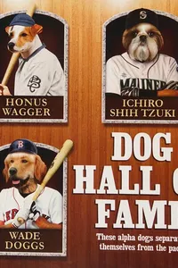 Top dogs