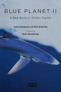 Blue planet II