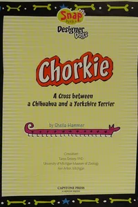 Chorkie
