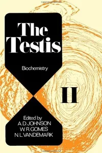 The testis