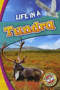 Life in a tundra