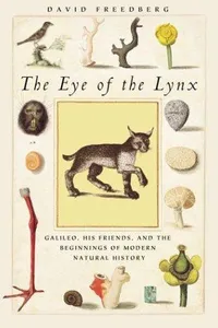 The Eye of the Lynx