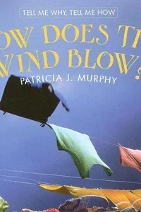 Capa de How does the wind blow?