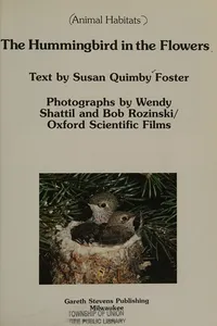 The hummingbird in the flowers