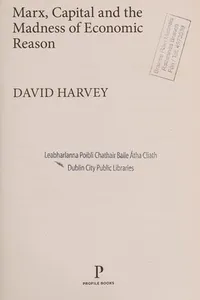 Marx, capital and the madness of economic reason