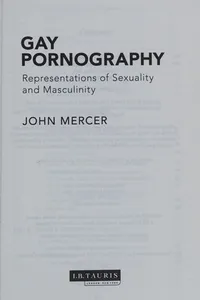 Gay pornography