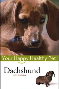Dachshund