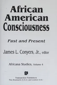 African American consciousness