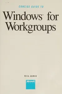 Concise guide to windows for workgroups