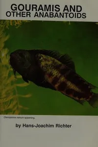 Gouramis and other anabantoids
