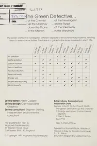 Green Detective Up the Chimney (The Green Detective)