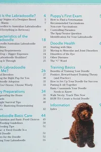 Labradoodles