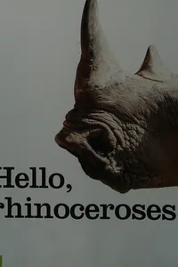 Rhinoceroses