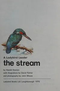 The Stream