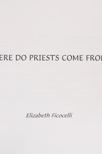 Where do priests come from?
