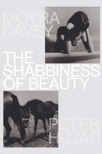 Cover of Shabbiness of Beauty by Stephen Koch