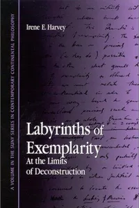 Labyrinths of Exemplarity