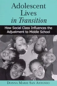 Adolescent Lives in Transition
