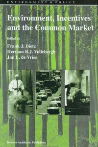 Environment, incentives, and the Common Market