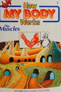 How My Body Works