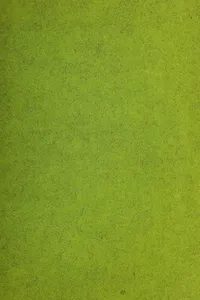 The Little Professor of Piney Woods