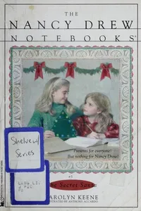 The Secret Santa