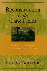 Reconstruction in the cane fields