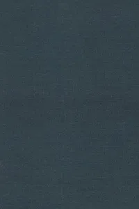 The presence of Pessoa