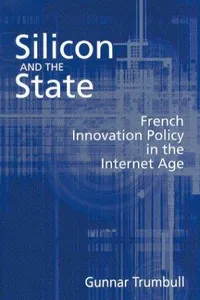 Silicon and the State
