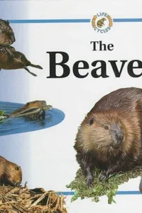 Cover of The beaver