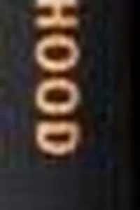 Prophets of the hood