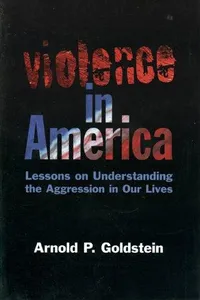 Violence in America
