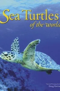 Sea Turtles of the World