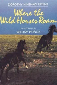 Where the wild horses roam